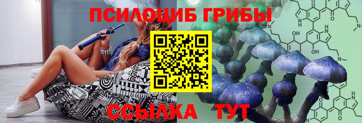 Псилоцибиновые грибы Magic Shrooms Балабаново