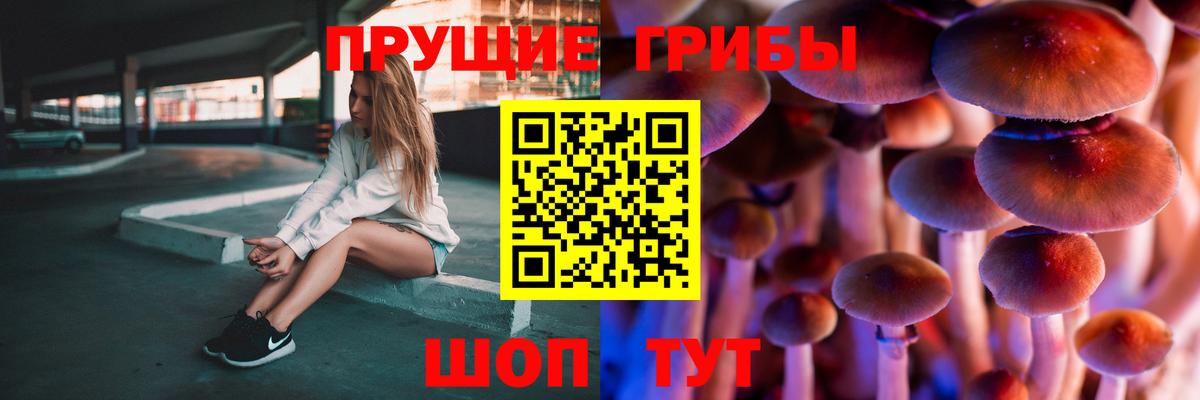 Галлюциногенные грибы Psilocybine cubensis  Балабаново  Галлюциногенные грибы мицелий 